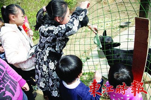 读者和网友到惠阳沙田世外梅园觅趣