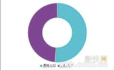 人口性别构成_广东人口性别构成分析(3)
