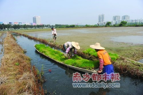 沙溪镇这几年入户人口_男生的小几几(2)