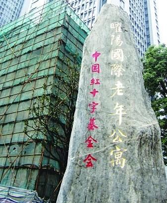 南京老年公寓项目涉嫌为免税挂靠红十字会