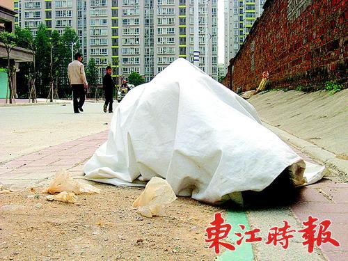 小区门口惊现白布单"裹尸 原是一位饿坏了的流浪汉