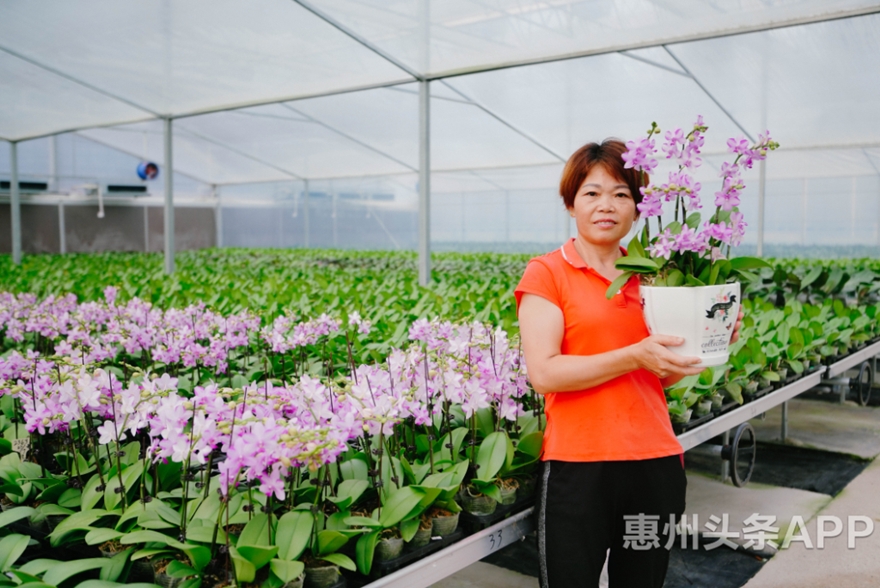 杨村镇人口_村民回乡实名登记当天个人信息遭泄露,镇zf:约谈工作人员