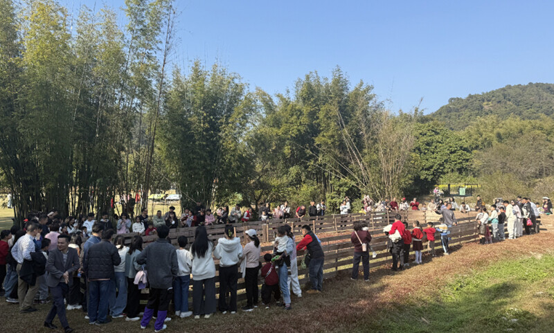 新葡萄娱乐平台博罗福田徐田村：灶火点亮文旅路 古村飘来致富香(图3)