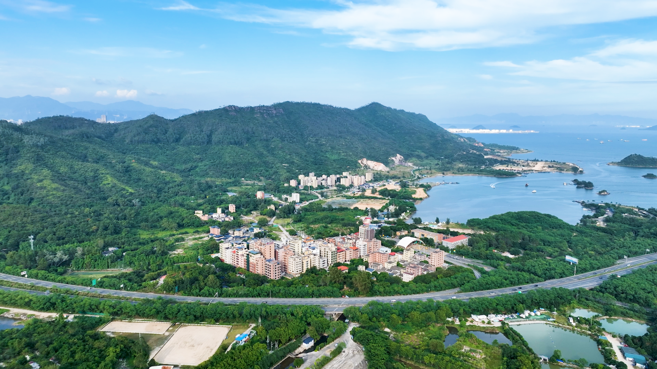 九游app：惠州2024年度“最美农村路”公布大亚湾澳头碧海畅行路入选(图1)