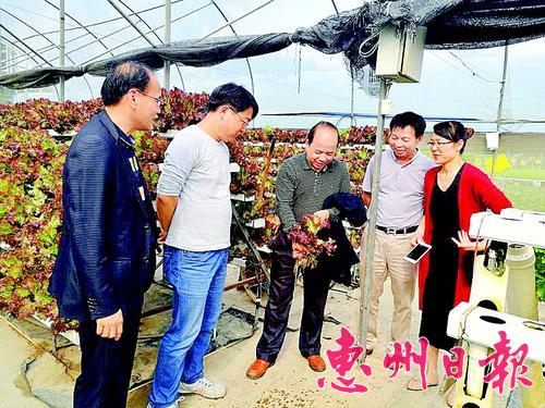 全市乡村振兴战略城郊农业发展研讨班在惠城举