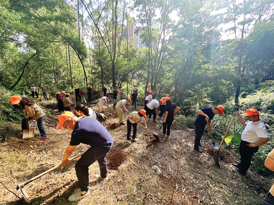 “惠阳人才林”揭牌！35名优秀人才代表登亚公顶森林公园培土种树