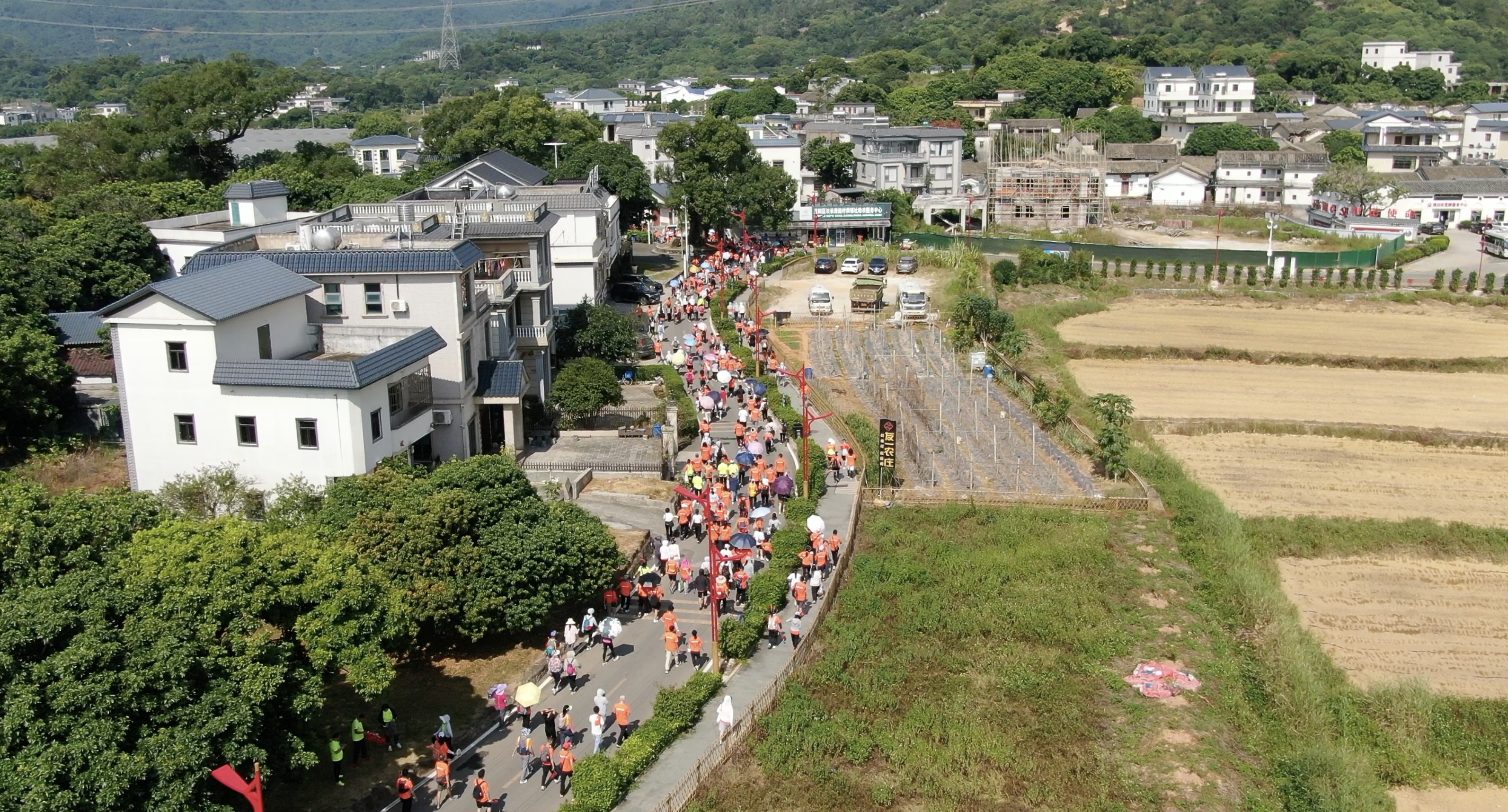 惠阳秋长街道点线面精准发力促城乡融合发展