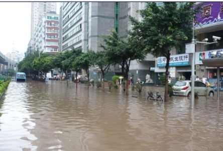 广州被大雨侵袭