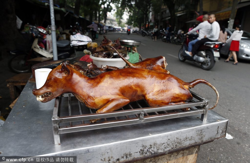 吃狗肉驱霉运探秘越南狗肉文化